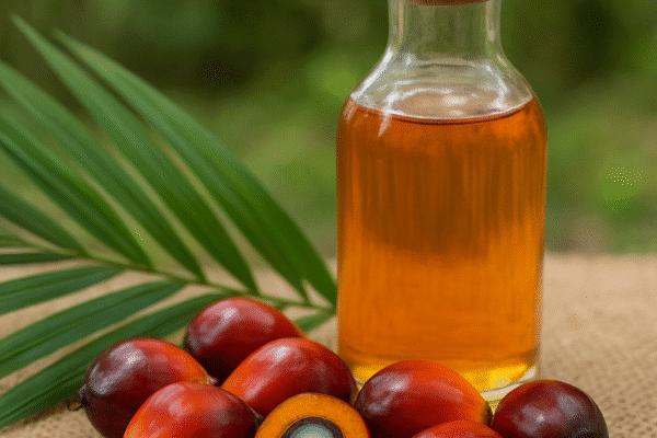 Olej palmowy (zrównoważone źródła)