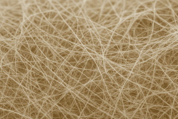 Fibrylacje celulozowe (nanoceluloza)