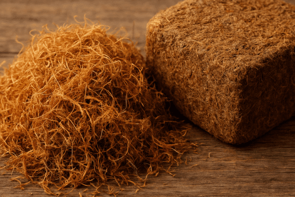 Włókna z tytoniu (odpad)