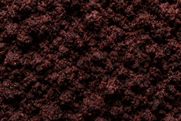 Wytłoki porzeczkowe