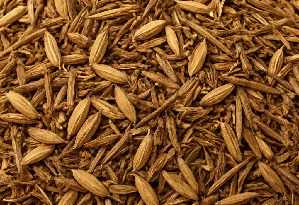 Ryż niełuskany (łuski + biomasa)